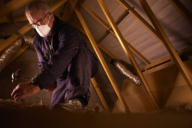 Best Cellulose Insulation in Valparaiso, IN
